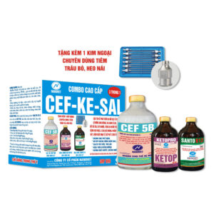 COMBO CAO CẤP 3 TRONG 1 CEF-KE-SAL