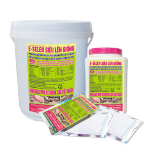 E-SELEN SIÊU LÊN GIỐNG