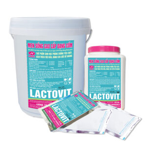 MEN SỐNG CAO CẤP DẠNG CỐM