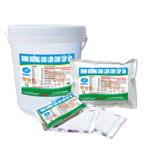 DINH DƯỠNG CHO LỢN CON TẬP ĂN