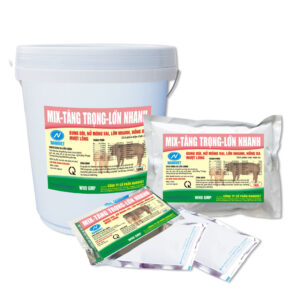 MIX-TĂNG TRỌNG-LỚN NHANH